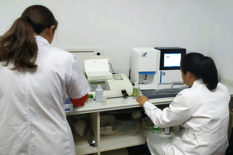 北京新蓝狮在线生物介绍哪些食物能清热祛湿？