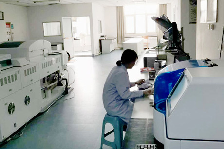 北京新蓝狮在线生物介绍怎么让宝宝饮食均衡营养